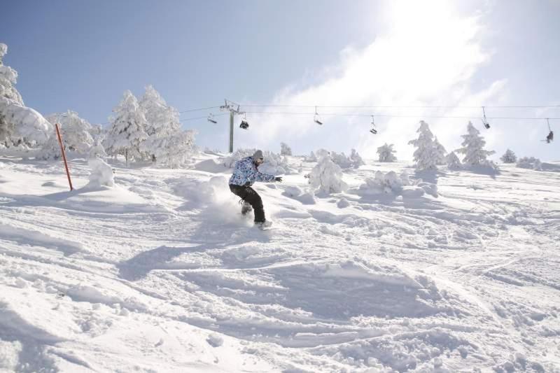 Ski & Nature Javalambre 卡马雷纳德拉谢拉 外观 照片